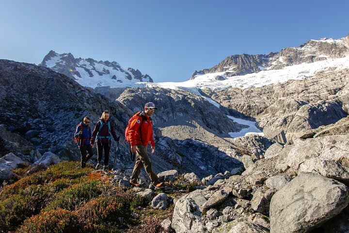 Guided Day Hikes in Whistler’s Sea-to-Sky: Garibaldi, Iceberg, Crater Rim & Cheakamus