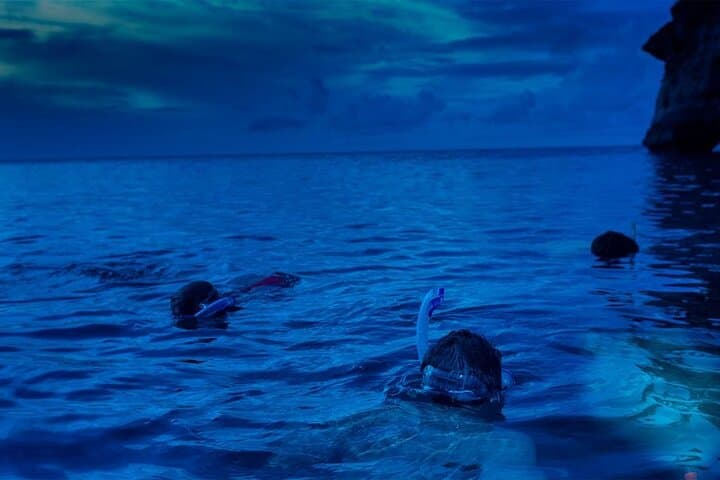 Night Snorkeling in Roatan: West Bay & Half Moon Bay After-Dark Reef Adventure photo 2
