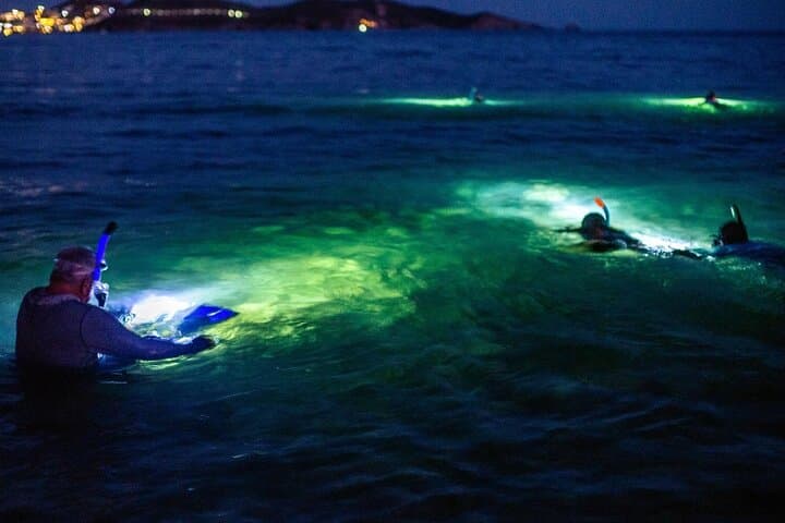 Night Snorkeling in Roatan: West Bay & Half Moon Bay After-Dark Reef Adventure photo 1