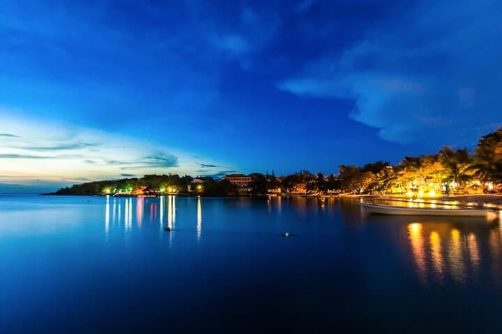 Night Snorkeling in Roatan: West Bay & Half Moon Bay After-Dark Reef Adventure photo 3