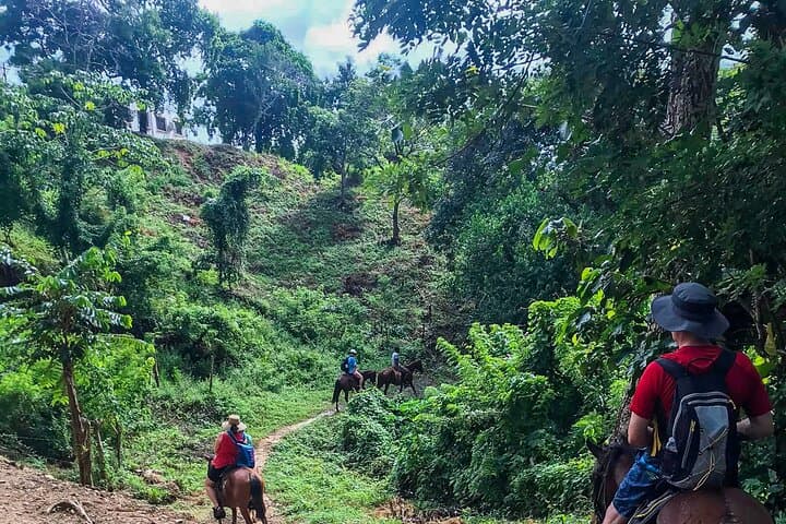 Horseback Riding in Roatan: Flowers Bay, Mountain Trails & Roatan Letters photo 3