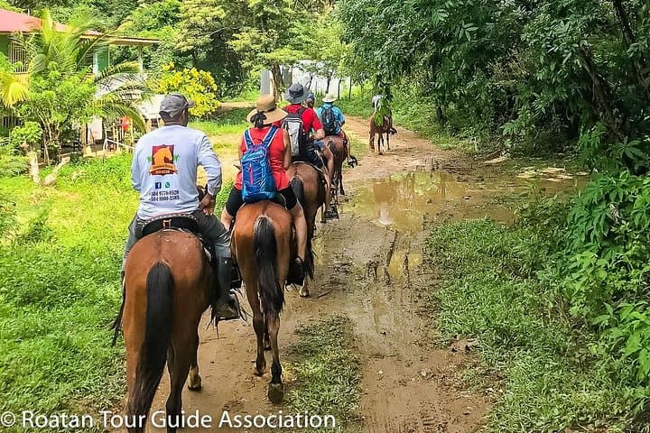 Horseback Riding in Roatan: Flowers Bay, Mountain Trails & Roatan Letters photo 5