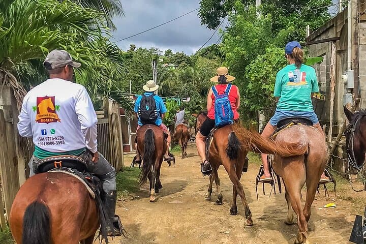 Horseback Riding in Roatan: Flowers Bay, Mountain Trails & Roatan Letters photo 4
