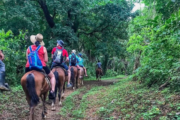 Horseback Riding in Roatan: Flowers Bay, Mountain Trails & Roatan Letters photo 6