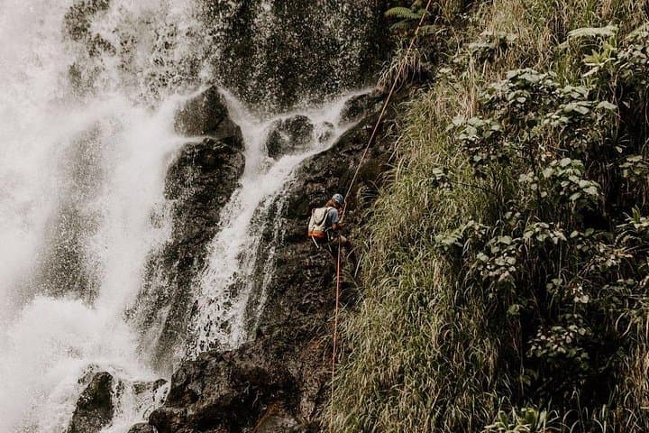 Rappel Kulaniapia Falls: 120-Foot Waterfall Adventure Near Hilo photo 4