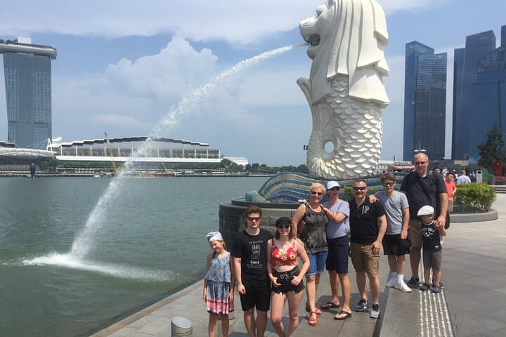 Singapore City Tour: Half-Day Highlights with Private Guide