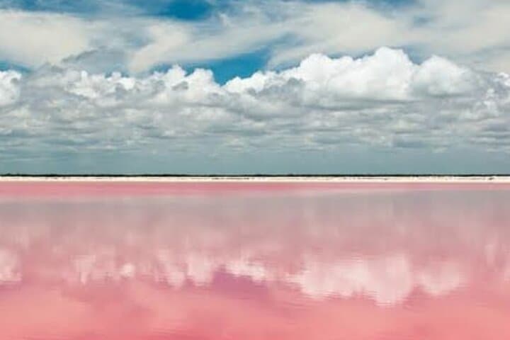 Full-Day Pink Lagoons & Río Lagartos Boat Tour from Mérida photo 4