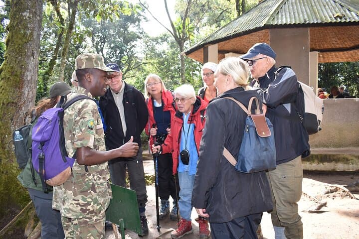 3-Day Bwindi Gorilla Trekking via Kisoro: Domestic Flight to Gorilla Encounters