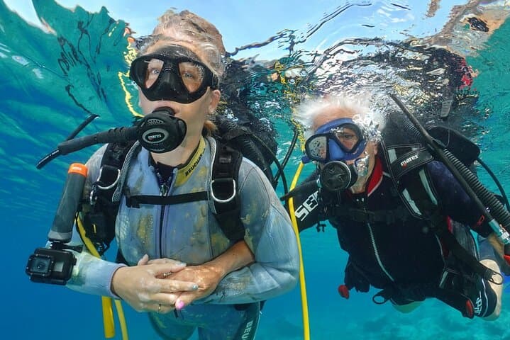 Earn Your First Scuba License on Tenerife: Private Beach Course & Guided Dives