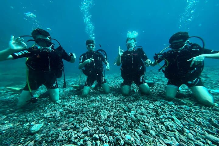 Discover Scuba Diving in Tenerife: Try-Dive Near Los Cristianos photo 6