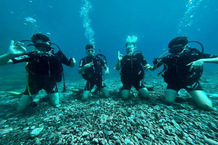 Earn Your First Scuba License on Tenerife: Private Beach Course & Guided Dives photo 6