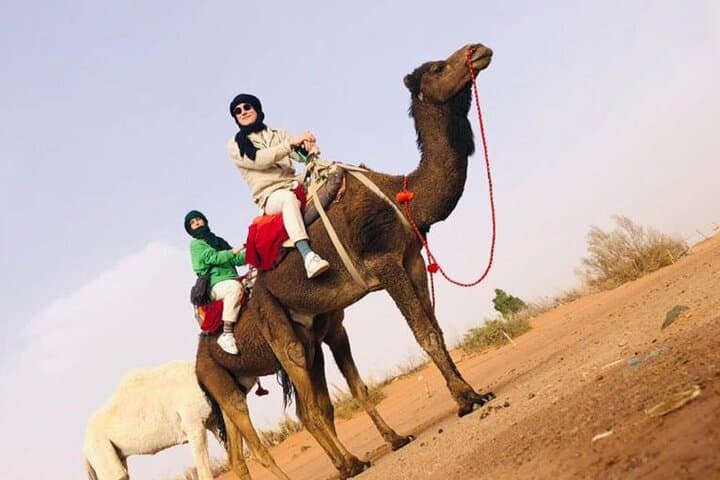 Sunset Camel Ride in Marrakech Palmeraie — 1-Hour Private Tour with Tea photo 2