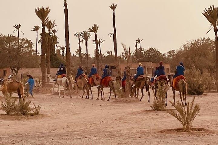 Sunset Camel Ride in Marrakech Palmeraie — 1-Hour Private Tour with Tea photo 5