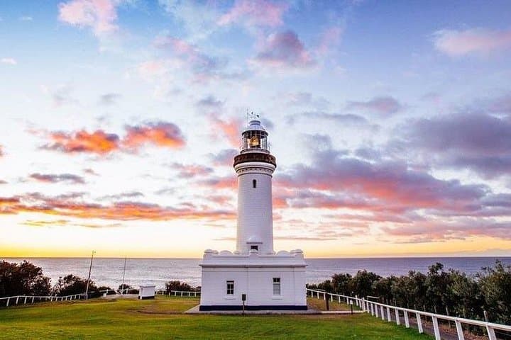 Central Coast Private Day Tour: Beaches, Bays & Wildlife Park with Norah Head Lighthouse photo 3