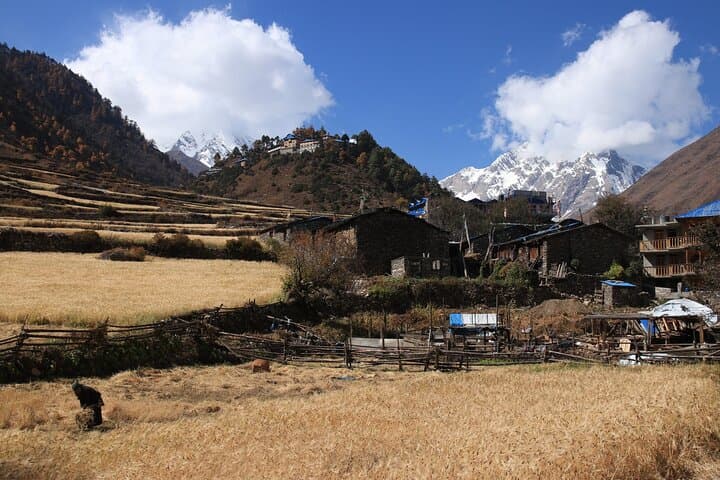 Manaslu Circuit Trek: 14-Day Private Larke La High-Pass Expedition photo 6