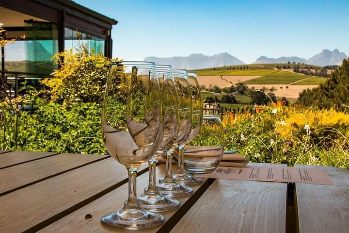 Cape Winelands Day Tour: Franschhoek, Stellenbosch & Paarl Wine Tasting photo 5