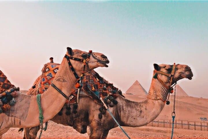 Private Full-Day Giza Pyramids, Saqqara & Dahshur Tour from Cairo