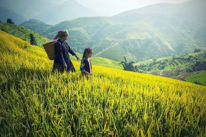 5-Day North Vietnam: Hanoi, Sapa Treks & Halong Bay Cruise photo 4