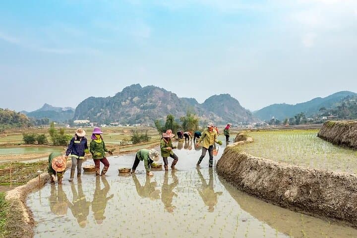 5-Day North Vietnam: Hanoi, Sapa Treks & Halong Bay Cruise photo 5