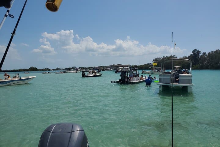 Full-Day Sand Bar Boat Tour from Englewood to Boca Grande photo 2