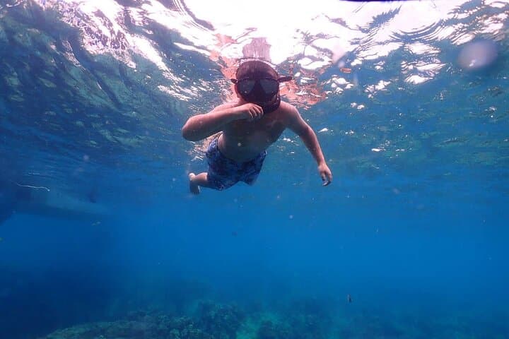 Phuket Coral & Racha Island Catamaran Snorkel Trip with Lunch photo 2