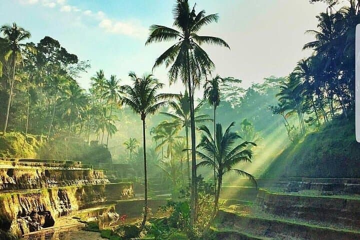 ATV Ride and Ubud Tour: 9km Jungle Quad Adventure with Tegalalang & Monkey Forest photo 3