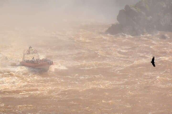 Private transfer and guided visit to Argentina's Iguazú Falls from Foz do Iguaçu photo 4