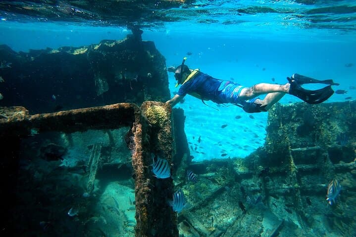 Cancun Reef Snorkel: Turtles, Coral & Shipwreck Tour photo 2