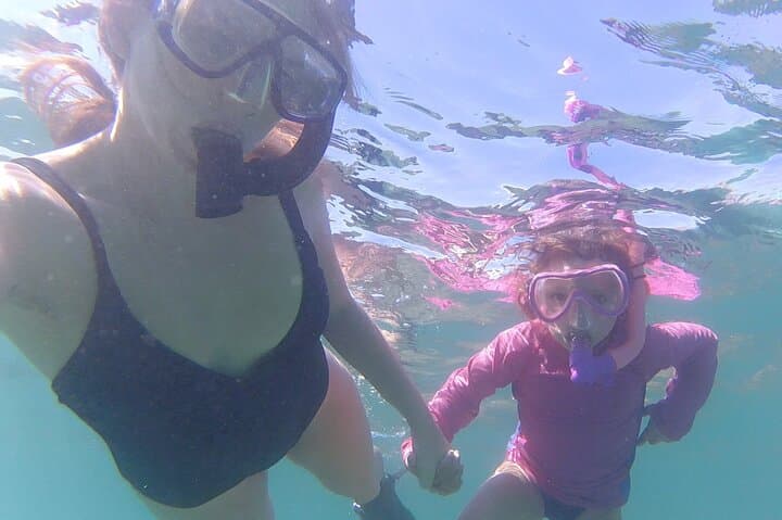 Snorkeling San Carlos with a Marine Biologist — Sea of Cortez Reef Tour