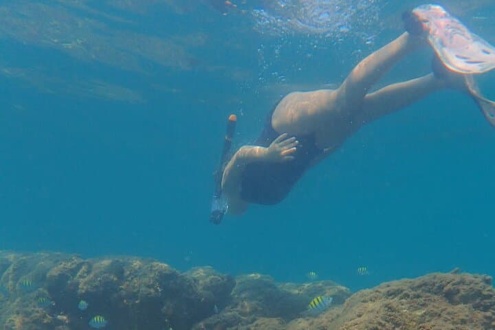 Snorkeling San Carlos with a Marine Biologist — Sea of Cortez Reef Tour photo 3