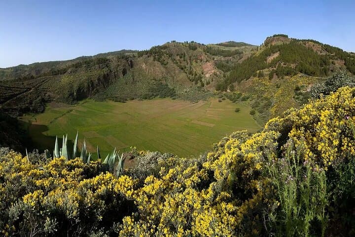 Into the Heart of Gran Canaria: Full-Day Central Highlands Excursion photo 3