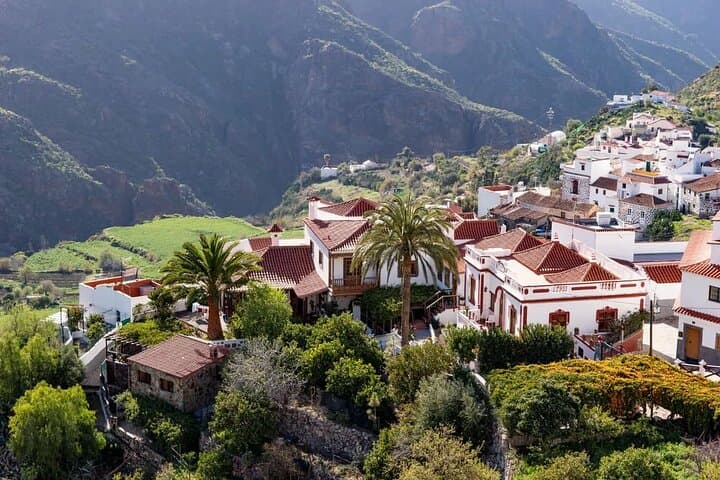 Into the Heart of Gran Canaria: Full-Day Central Highlands Excursion photo 5
