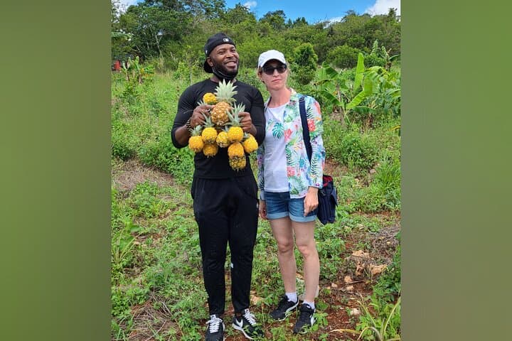 Hands-On Jamaican Farm Tour — Pick Pineapple & Learn Tropical Gardening