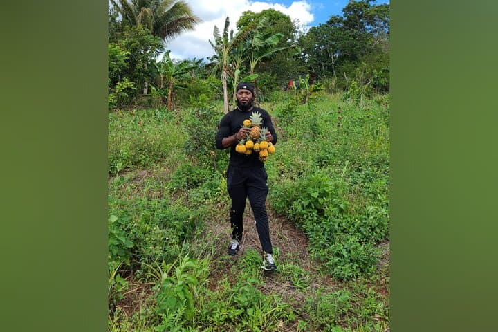 Hands-On Jamaican Farm Tour — Pick Pineapple & Learn Tropical Gardening photo 2