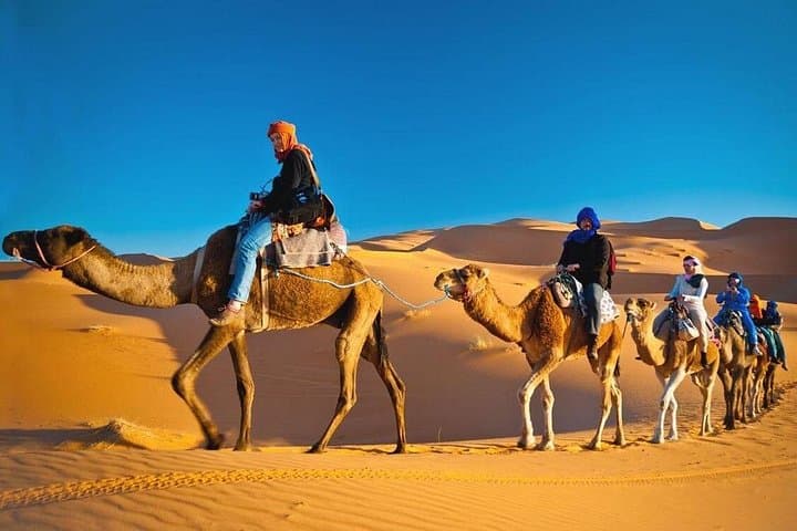 Private Morning Desert Safari Dubai — Dune Bashing, Camel Trek & Sandboarding in Lahbab photo 1