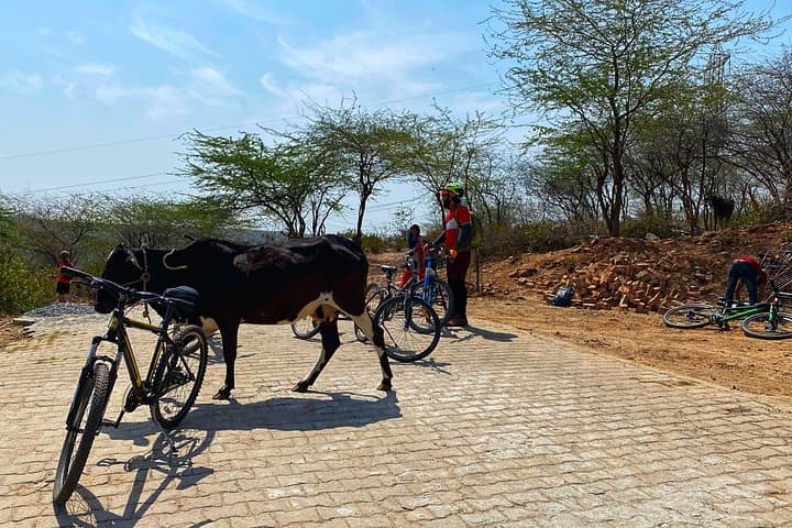 Cycle the Aravalli: Mangar Bani to Panikot Lake Organic Day Tour from Delhi photo 3