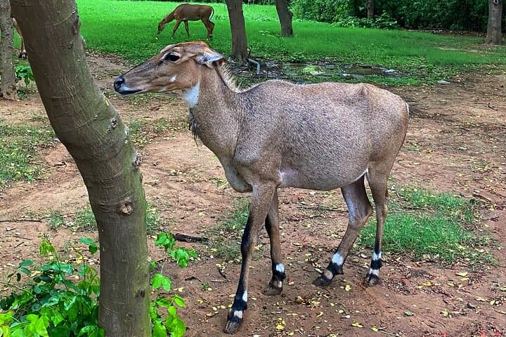Hidden Jewels of Delhi Cycling Tour: Mehrauli, Sanjay Van & Qutub Minar photo 5