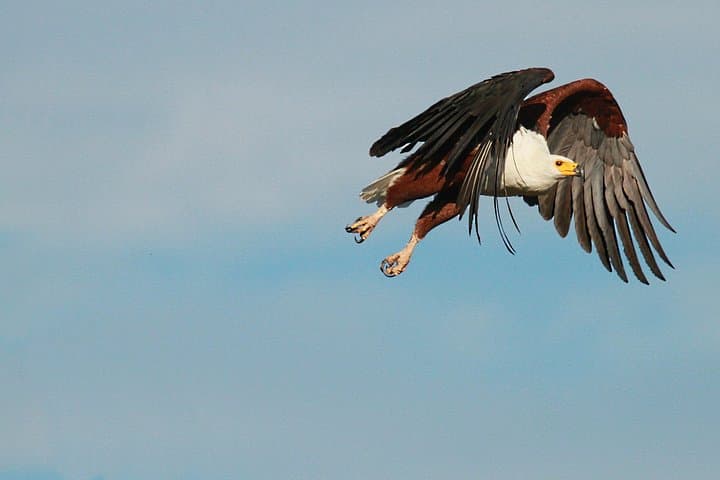 Blyde Dam Boat Cruise & Private Safari from Hoedspruit — Blyde River Canyon Day Trip photo 4