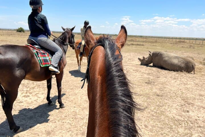 Day Safari to Ol Pejeta Conservancy: Rhino Encounters and Mt. Kenya Views photo 2