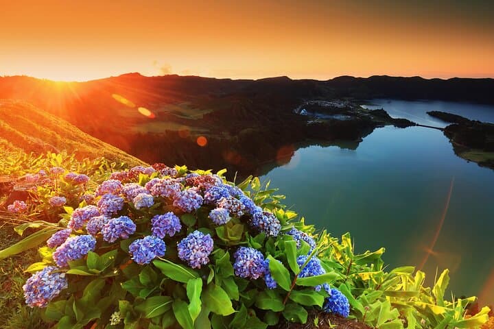 Sete Cidades Half-Day Guided Tour from Ponta Delgada — Lakes, Viewpoints & Azorean Flora photo 3