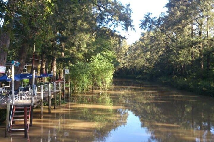 Tigre Delta Catamaran Day Tour from Buenos Aires: Navigate Canals, Markets & Riverside Towns photo 2