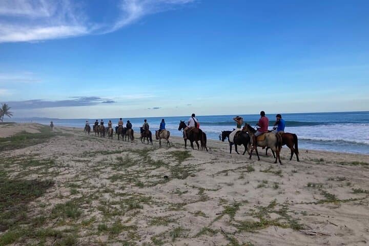 Horseback Riding Along Manialtepec River and Beach: Sunset Adventure on the Oaxacan Coast photo 5