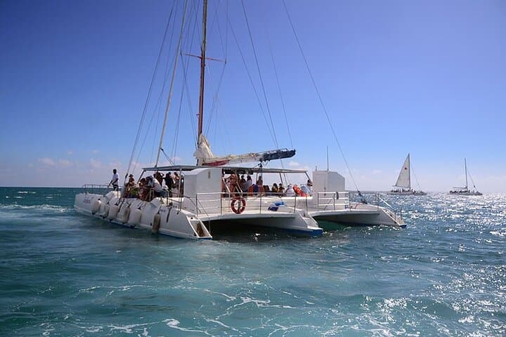 Saona Island Full-Day: Catamaran Party, Natural Pool & Beach Lunch from Santo Domingo