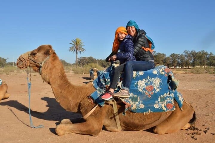 Agadir Half-Day City Tour: Medina, Cable Car, Crocoparc & Camel Ride photo 5