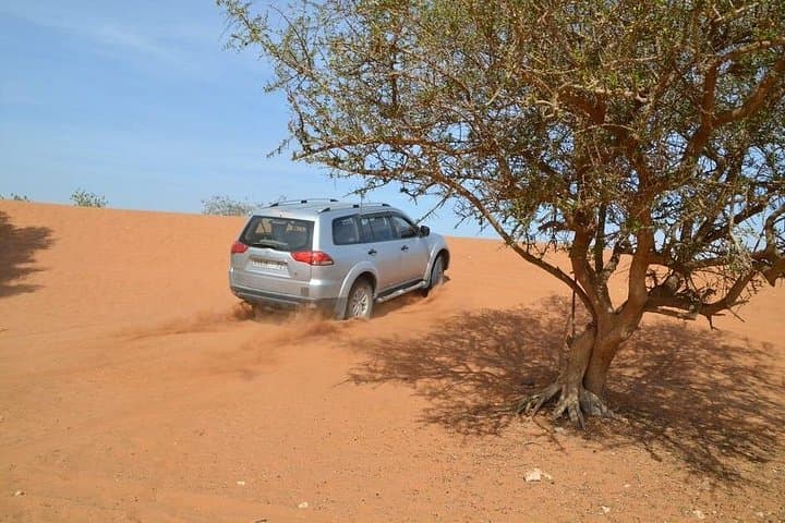 Agadir to Souss Massa & Mini Sahara: Wild Coast, Dunes and Birdlife Day Trip photo 2