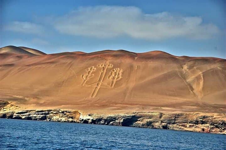 Ballestas Islands Speedboat Tour from Paracas — 2-Hour Wildlife Cruise