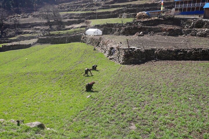 Manaslu Circuit Trek: 12-Day Himalayan Loop Over Larkya La photo 6