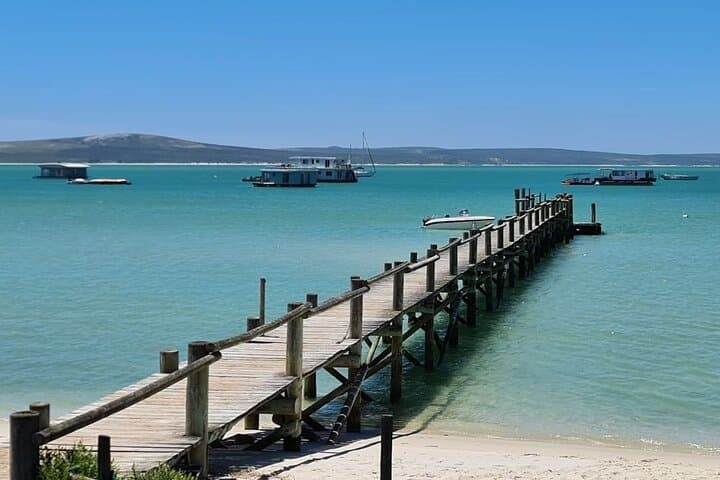 Cape West Coast Flower Tour — West Coast National Park Wildflower Day Trip photo 2
