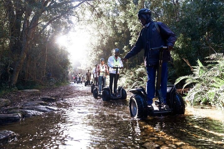 Segway Through Tsitsikamma: 1-Hour Storms River Village Ride photo 3