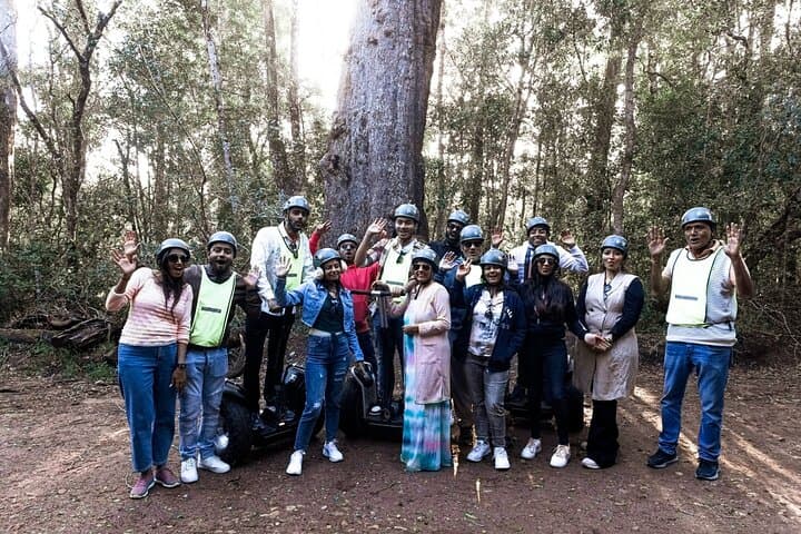 Segway Through Tsitsikamma: 1-Hour Storms River Village Ride photo 6